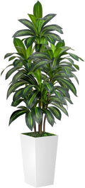 VIVATREES Dracaena Tree 5FT Artificial, 60in Tall Faux Dracaena Tree by VIVATREESADDINGCOLORTOYOURSPACE