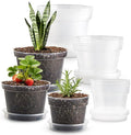 RooTrimmer 15 Pack 8/7/6 Inch Clear Nursery Pots by RooTrimmer