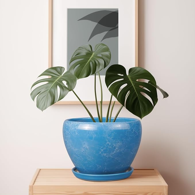 Ceramicfor 10 Inch Planter Pot - Image 6