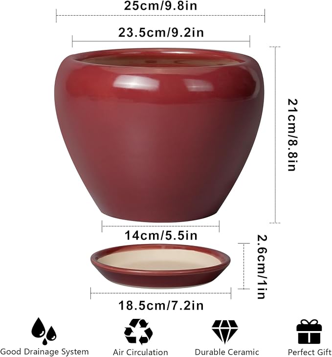 Ceramicfor 10 Inch Plant Pot, Ceramic Planter, Large Planter - Image 3