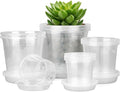 FUIJOL 4/5/6/7 Inch Clear Nursery Pots by FUIJOL