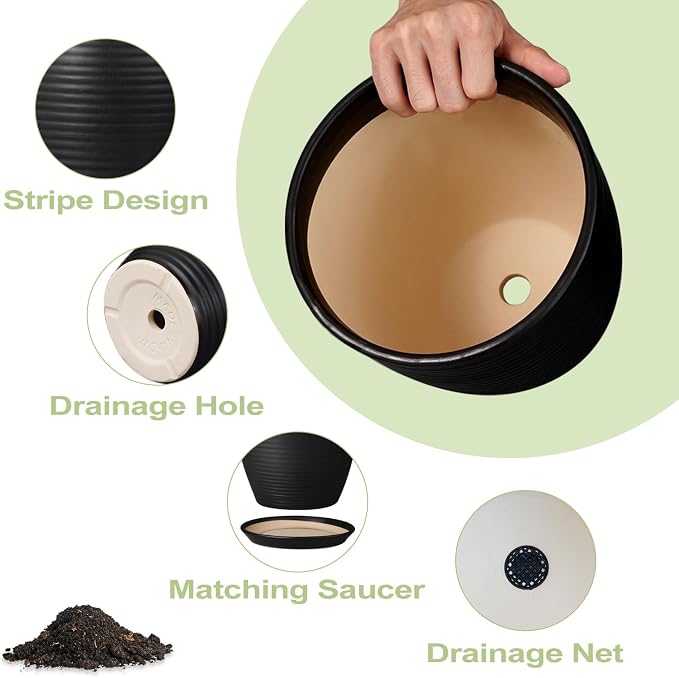 Ceramic Plant Pot - Image 4