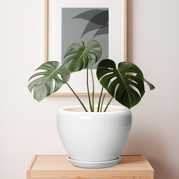 Ceramicfor Ceramic Pot for Plants - Image 7