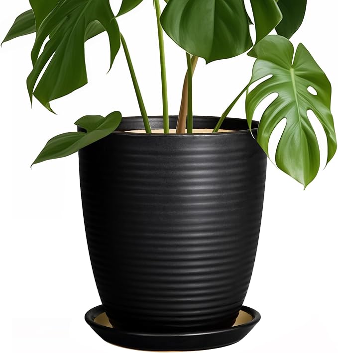 Ceramic Plant Pot by EPFamily