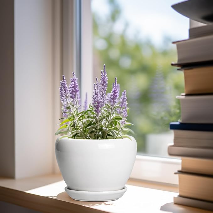 Ceramicfor Ceramic Pot for Plants - Image 2