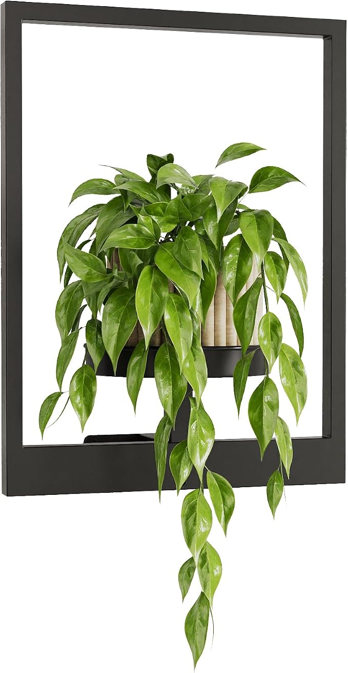 Bamworld Wall Plant Holder Plant Stand Indoor Wall Planters Black | Wall by Bamworld
