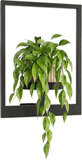 Bamworld Wall Plant Holder Plant Stand Indoor Wall Planters Black | Wall by Bamworld