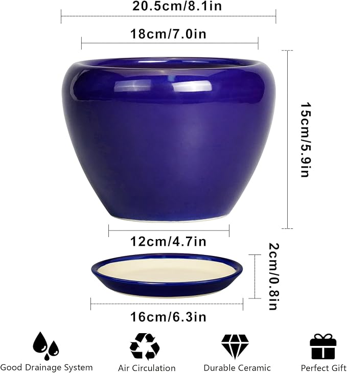 Ceramicfor Ceramic Plant Pot 8 Inch, Planter - Image 3