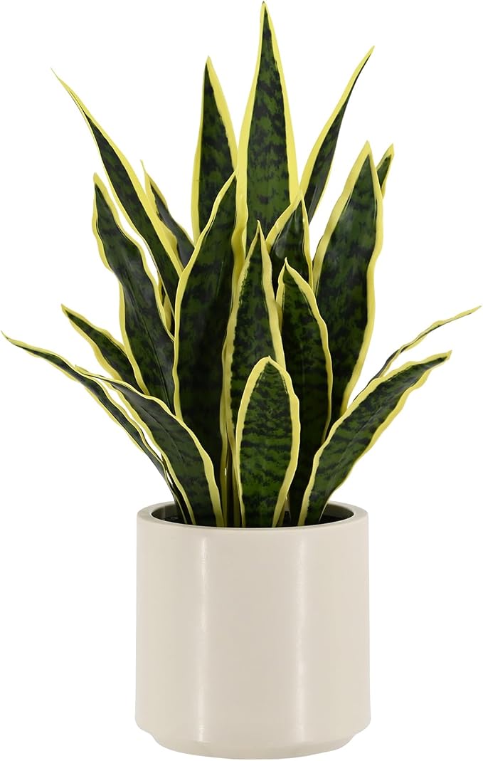 Fake Snake Plant 22" Tall, Realistic Touch Leaves, Potted Artificial Plants by Unknown