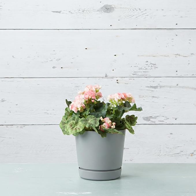 Root & Vessel Majestic Full Depth Round Cylinder Pot, Glossy Gray - Image 2