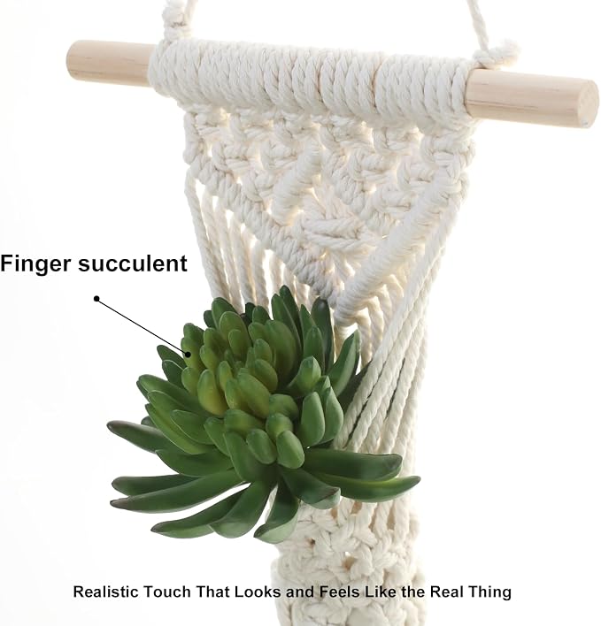 Macrame Wall Hanging Plant Holder - Image 5