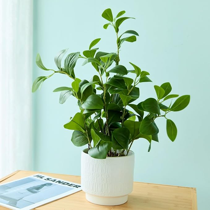 16'' Artificial Ficus Plant in White Textured Ceramic Pot Realistic Faux - Image 2