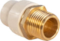 Supply Giant CSDQN300 Male x CPVC Adapter Transition Pipe Fitting Durable Over by SupplyGiant