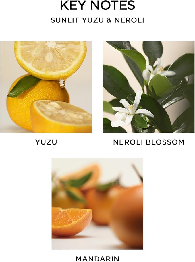 NEST New York Scented Classic Candle, Sunlit Yuzu & Neroli - Image 4