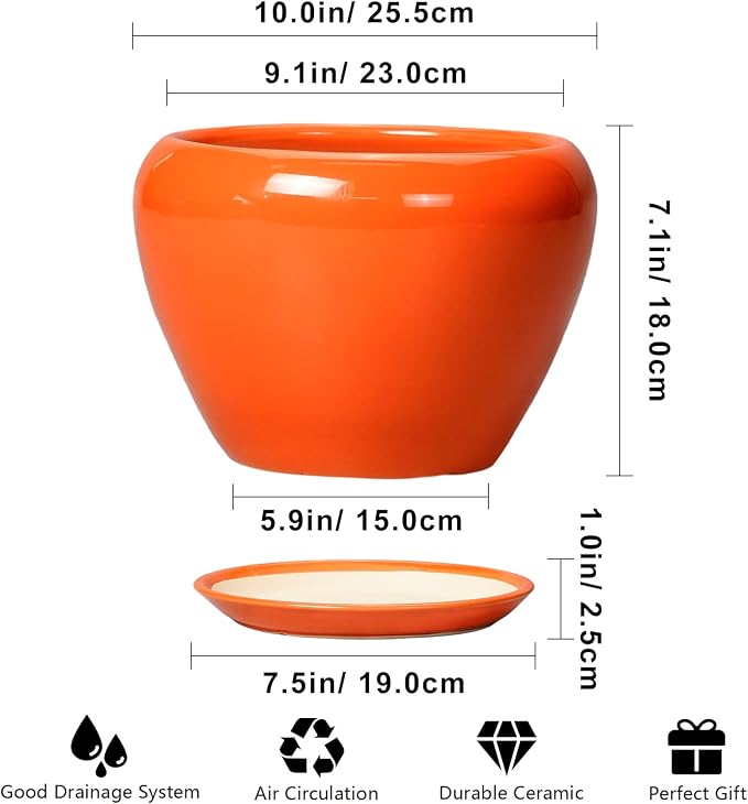 Ceramicfor Ceramic Pot for Plants - Image 3