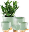 Self Watering Planter Pots for Plants, Drainage holes and saucers, by Unknown