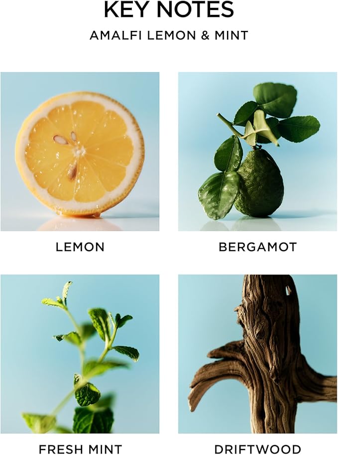 NEST New York Scented 3-Wick Candle, Amalfi Lemon & Mint - Image 4