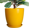 12 Inch Pots for Plants by EPFamily