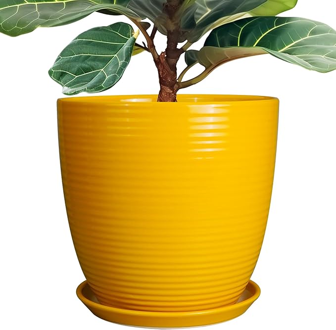 12 Inch Pots for Plants by EPFamily
