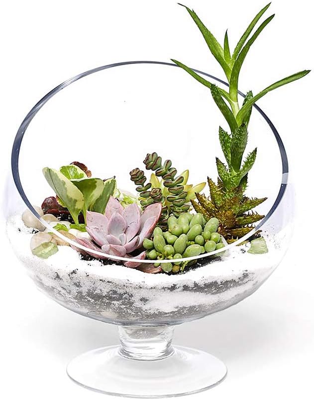 WGV Slant Cut Bowl Glass Vase - Image 5