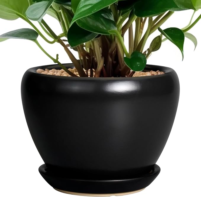 Ceramicfor Ceramic Planter Pot by Ceramicfor
