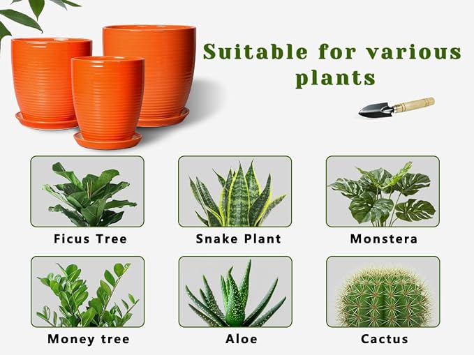 12 Inch Plant Pot, Ceramic Planters - Image 8