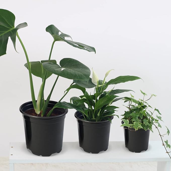 RAOOKIF 100 Pack Nursery Pots, 4 5 6 Inch Nursery Pot - Image 5