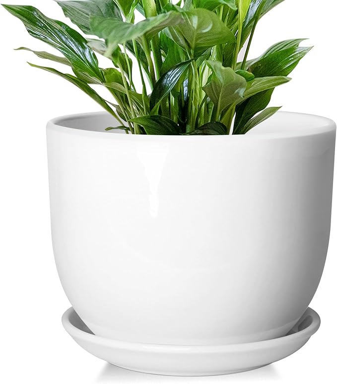 8 Inch Ceramic Planter, Plant Pots by YUFDA