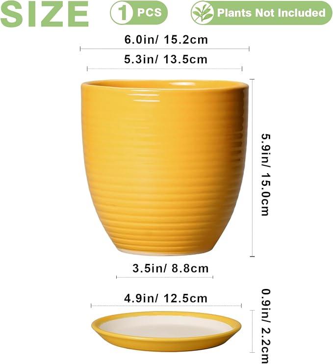 Ceramic Pots for Plants - Image 2
