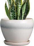 Ceramicfor Ceramic Planter by Ceramicfor