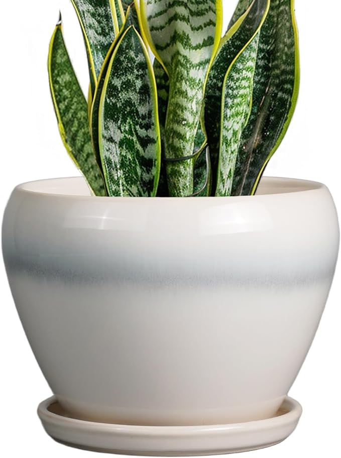 Ceramicfor Ceramic Planter by Ceramicfor