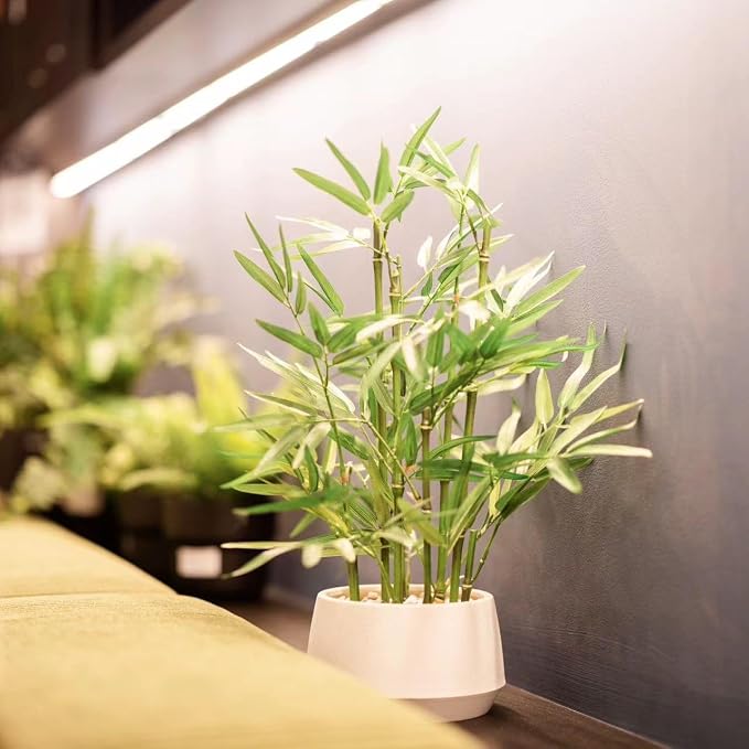 365 Blooming Decor 18 inch Tall White Potted Artificial Bamboo Plant- Luxury - Image 6