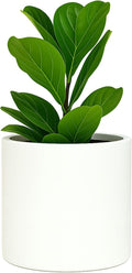 Fox & Fern Large Planter for Indoor or Outdoor, Matte White, 12 Inch | UV & by FoxFern