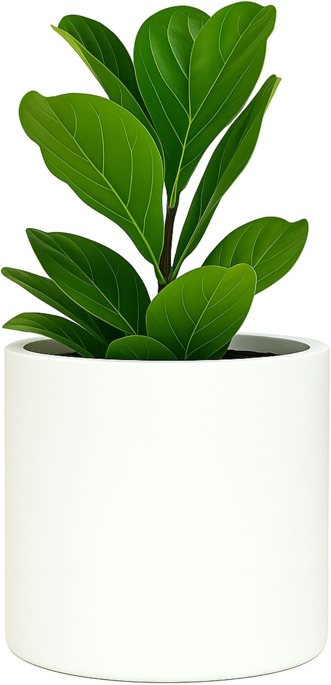 Fox & Fern Large Planter for Indoor or Outdoor, Matte White, 12 Inch | UV & by FoxFern