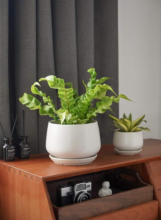 LE TAUCI Ceramic Plant Pots, 4.1+5.1+6.5 inch, Planters - Image 7