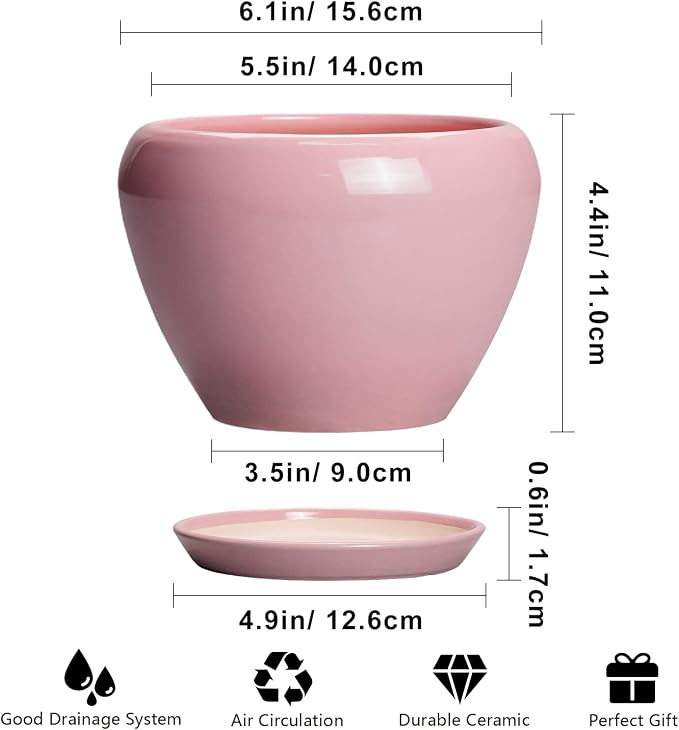 Ceramicfor 6 Inch Plant Pot - Image 3