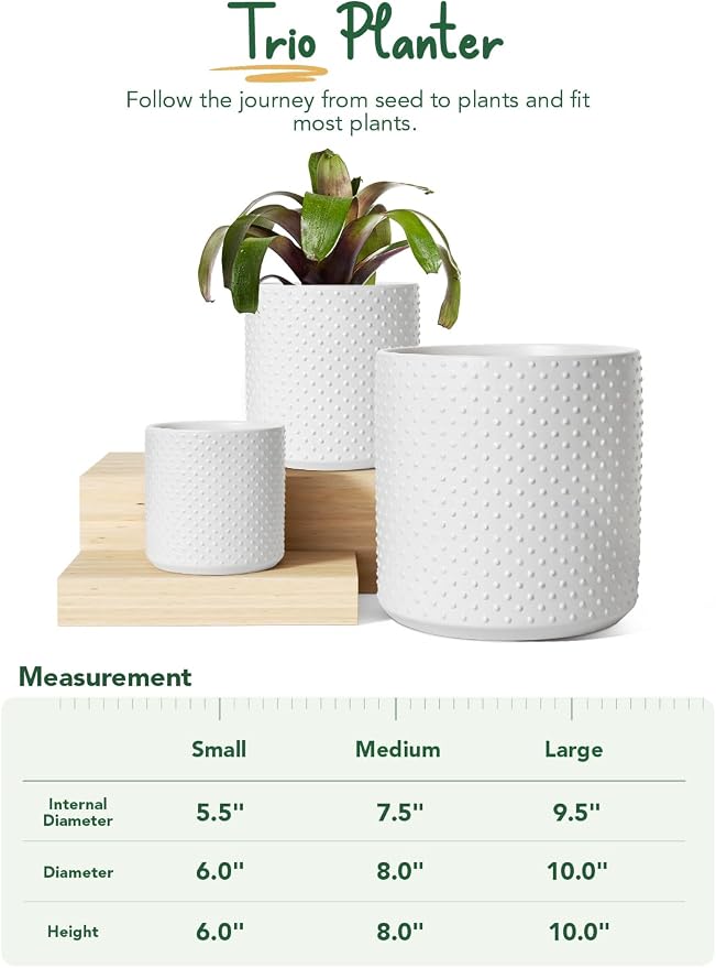LE TAUCI 10+8+6 Inch Ceramic Pots - Image 2