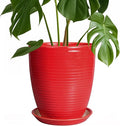Ceramic Pot for Plants by EPFamily