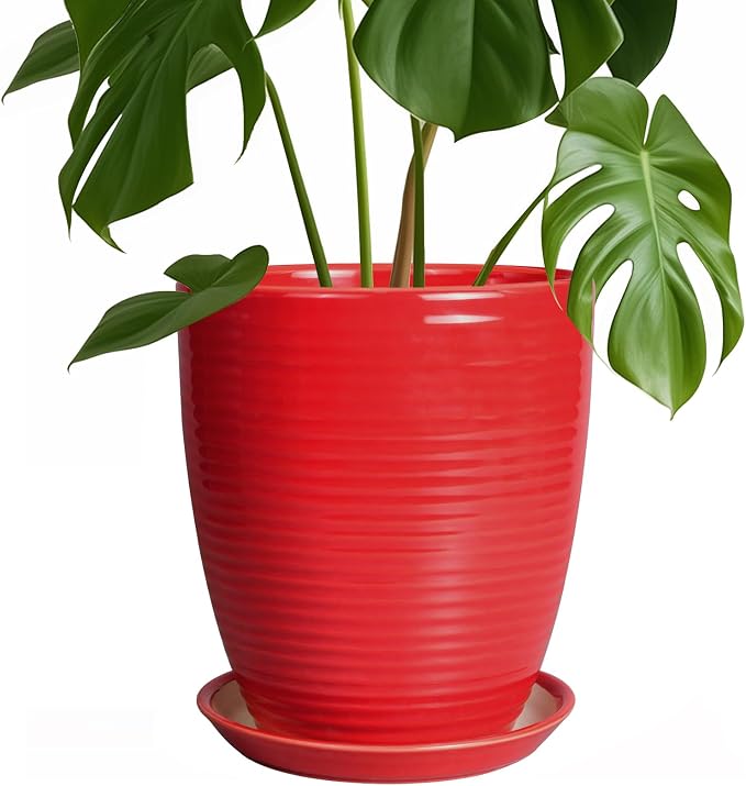 Ceramic Pot for Plants by EPFamily