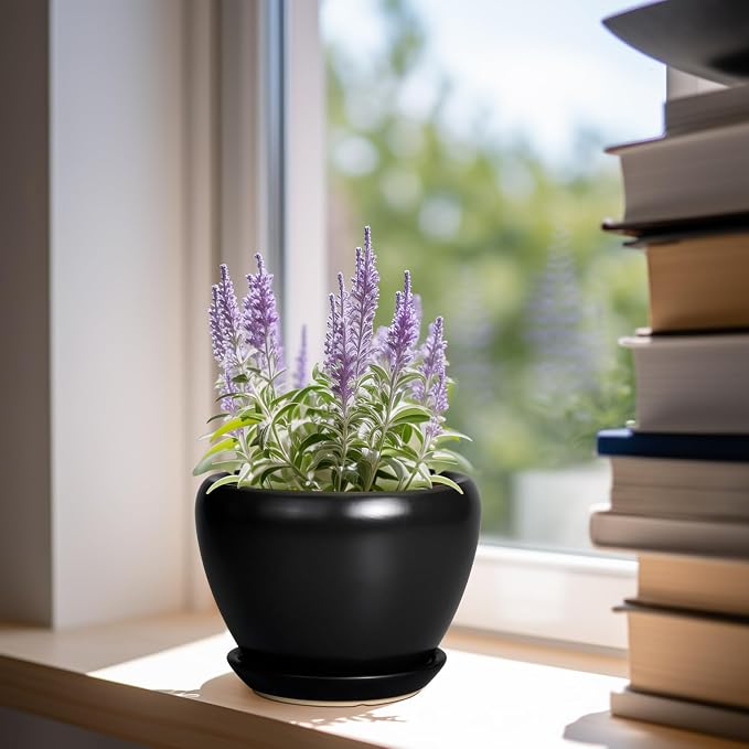 Ceramicfor Ceramic Planter Pot - Image 2