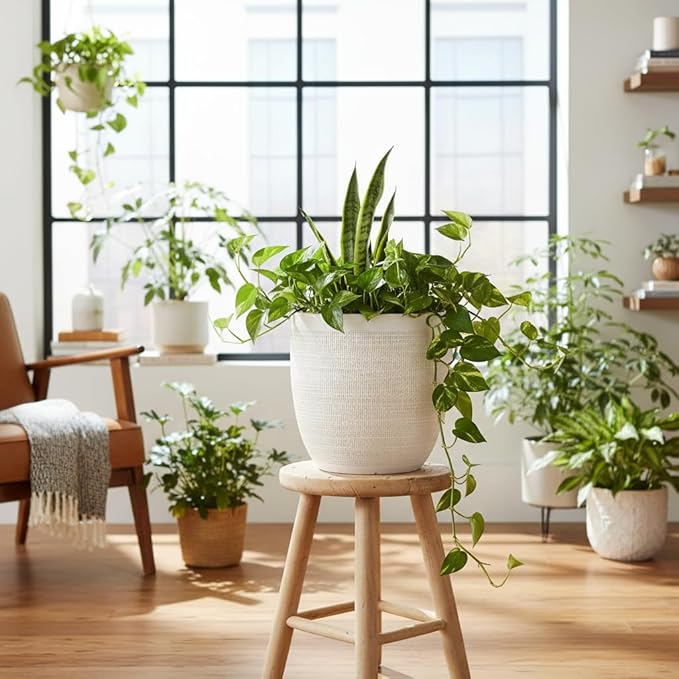 Creative Co-Op Large Matte White Embossed Stoneware Planter - Image 3
