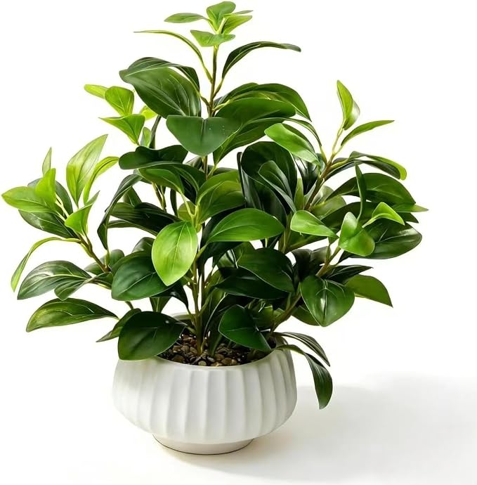 Artificial Peperomia Plants 16” Tall Lifelike Faux Greenery in 6” White Ribbed by Ewtogift