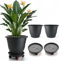 RooTrimmer 3 Pack 20 Inch Large Plant Pots by RooTrimmer