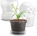 RooTrimmer 12 Pack 8 Inch Clear Plant Pots by RooTrimmer