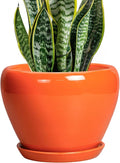 Ceramicfor Indoor Plant Pot 8 Inch by Ceramicfor