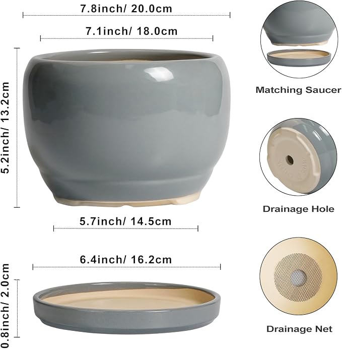 SQOWL Ceramic Pot for Plants - Image 3