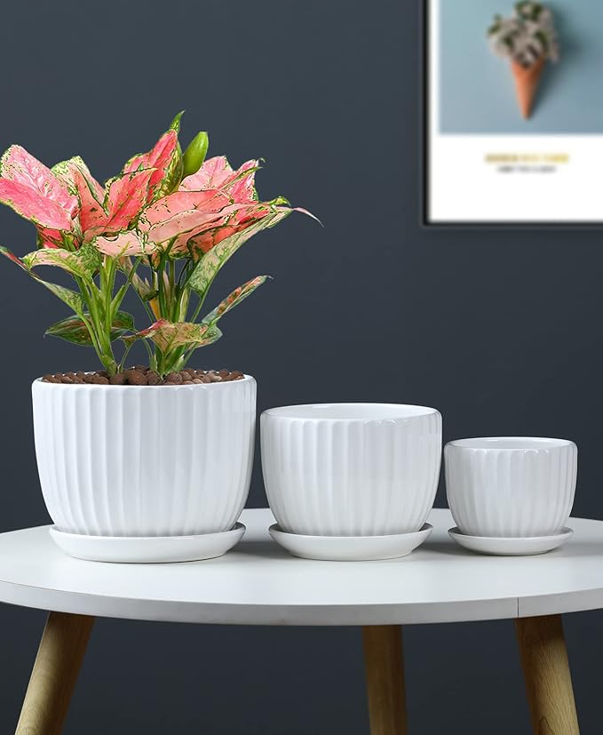 White Plant Pots, Ceramic Flower Pot Set of 3 - Image 7