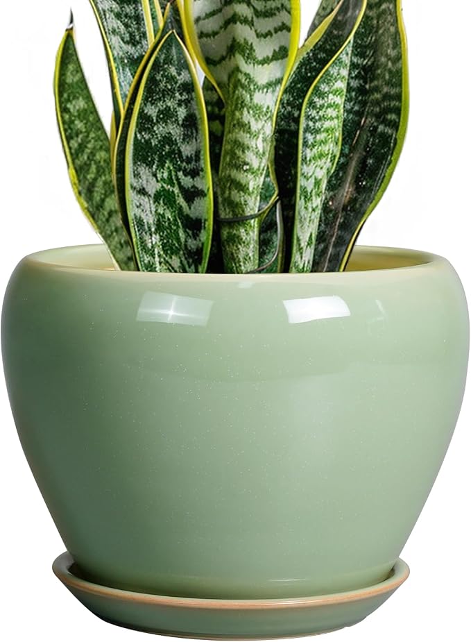 Ceramicfor 8 Inch Plant Pot by Ceramicfor