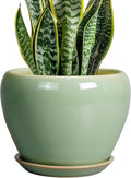 Ceramicfor 8 Inch Plant Pot by Ceramicfor