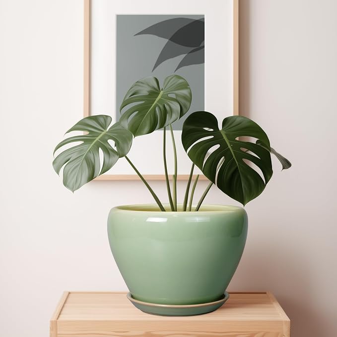 Ceramicfor Ceramic Planter Pot, 10 Inch Plant Pot, Reactive Green | Decorative - Image 7